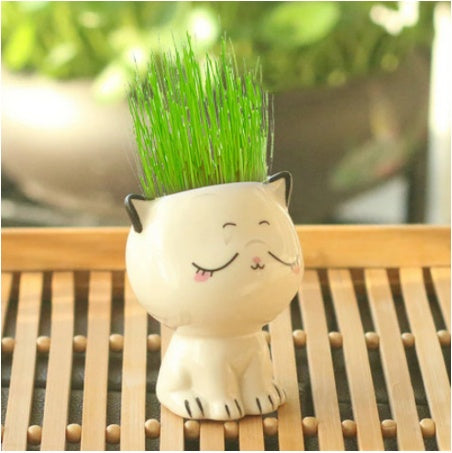 Children Planting Small Potted Plants Decoration Desktop Cute Cat Doll DIY Long Grass Plant