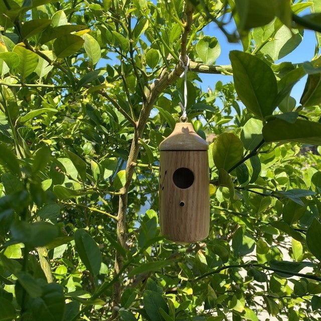 Garden Wooden Hanging Hummingbird House