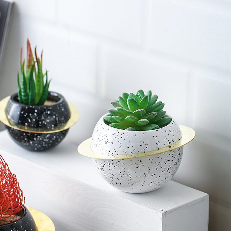 Creative desktop room decoration potted plants