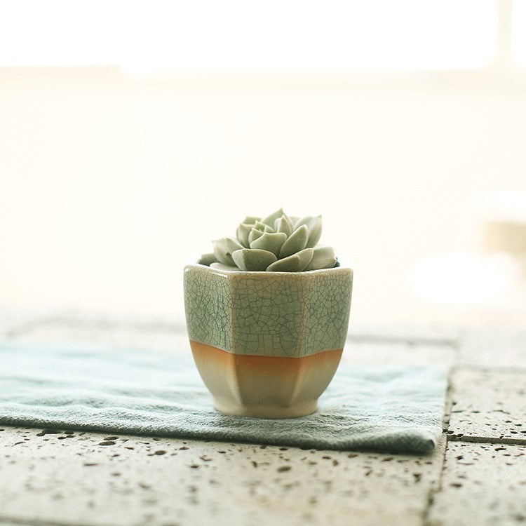 Succulent flowerpot furniture indoor potted plants