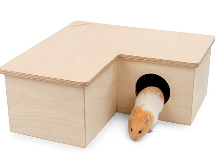 Hamster Multi-Room