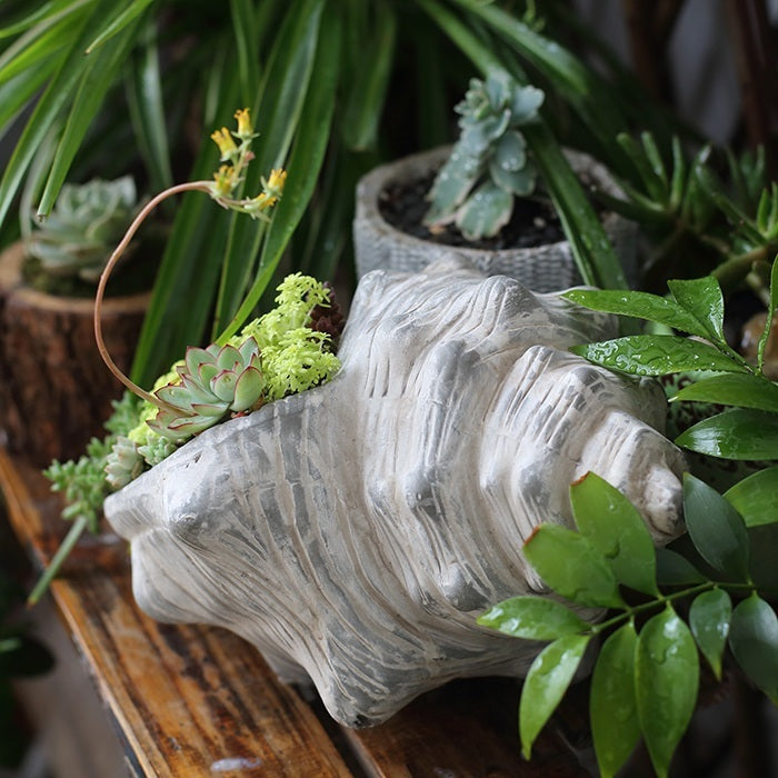 Ceramic decorative gardening of conch flower pot