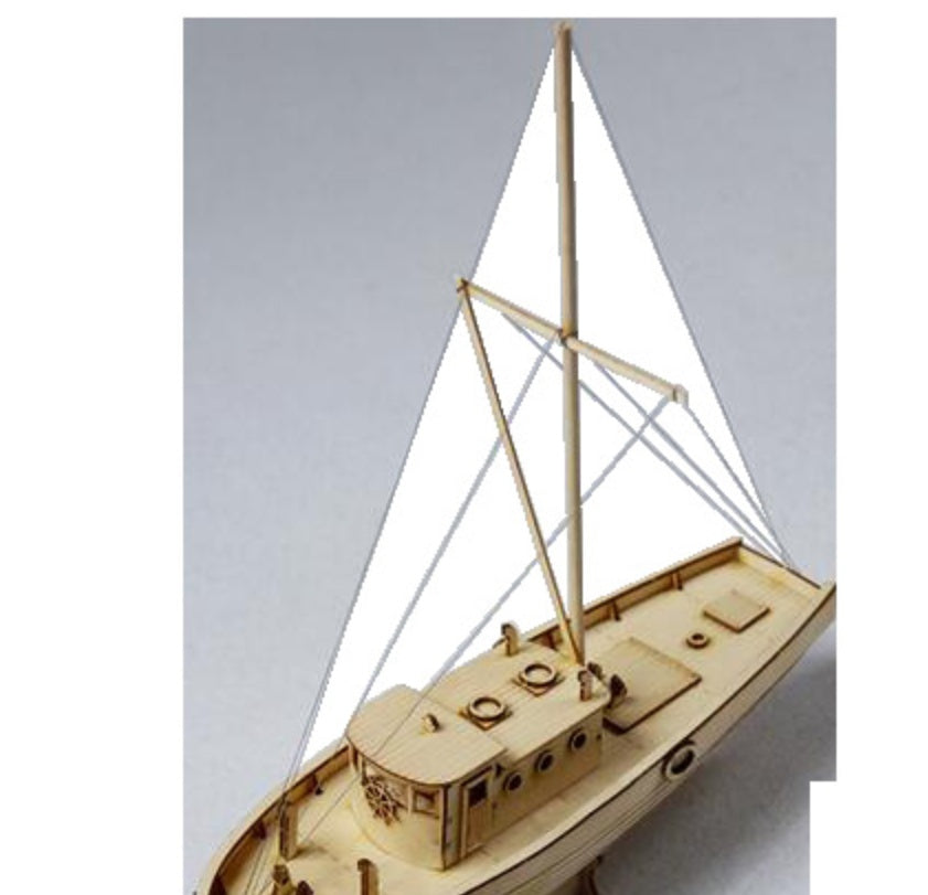 Model wooden assembled ship