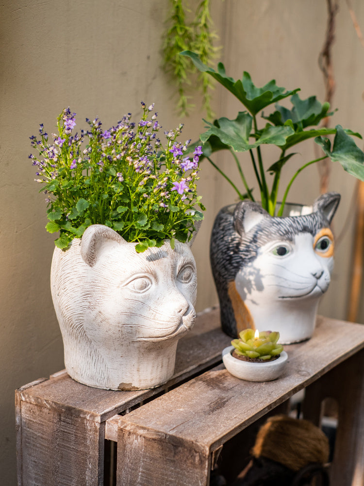 Animal Head Cartoon Flower Pot Succulent Cement Flower Balcony Garden Decoration