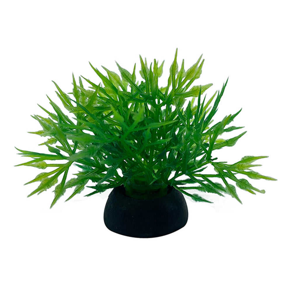 Fish Tank Landscaping Simulation Aquatic Plants And Seaweed Succulent Micro-Landscape Decoration Plastic Aquatic Plants Source Manufacturer