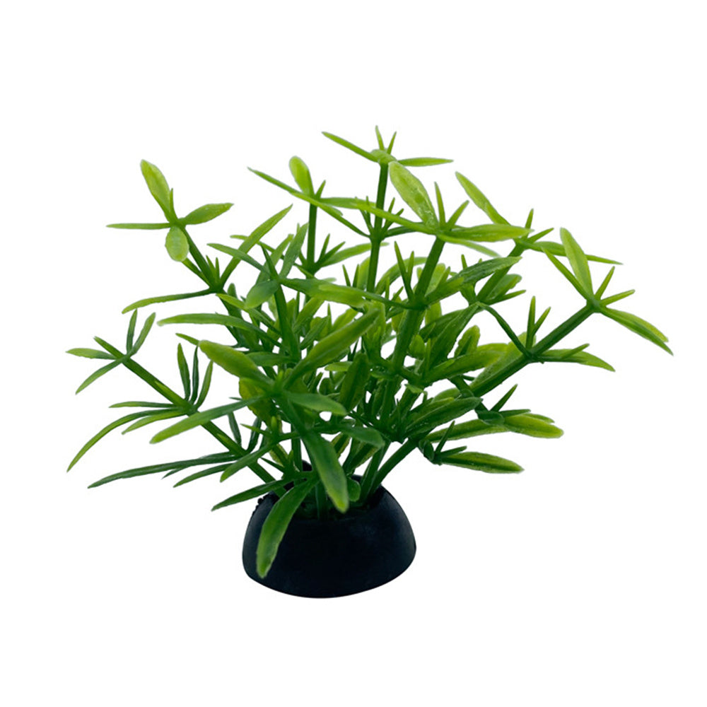 Fish Tank Landscaping Simulation Aquatic Plants And Seaweed Succulent Micro-Landscape Decoration Plastic Aquatic Plants Source Manufacturer