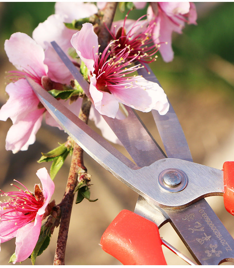 Double-Mouth Fruit And Flower Thinning Shears Agricultural Flower Thinning Shears