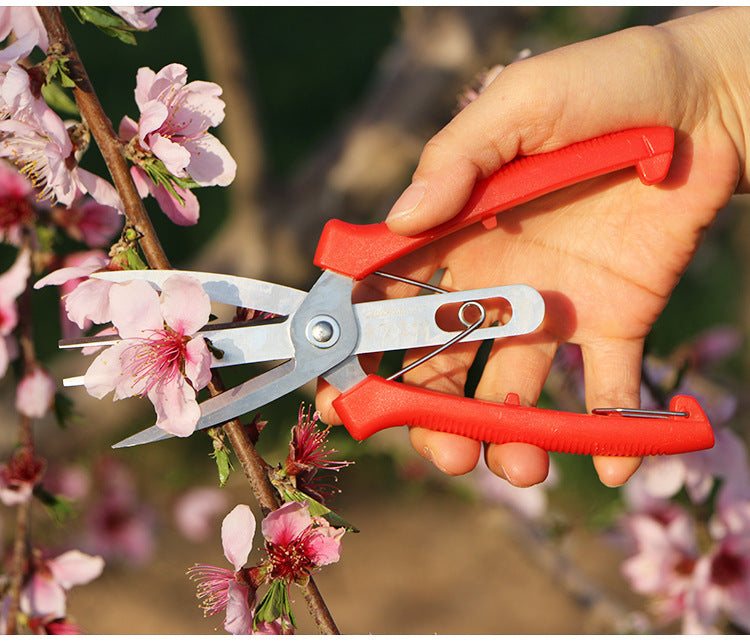 Double-Mouth Fruit And Flower Thinning Shears Agricultural Flower Thinning Shears