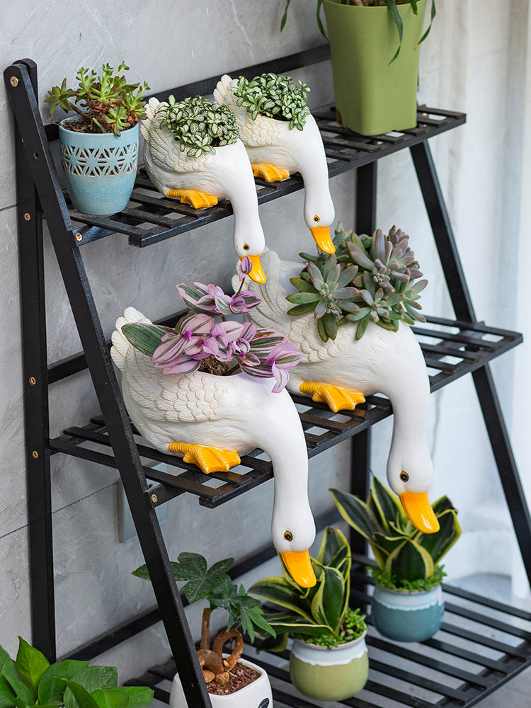 Lovely Duck Fleshy Flowerpot Living Room Balcony Decoration Outdoor Courtyard Layout