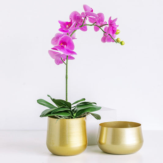 Nordic Light Luxury Wrought Iron Creative Golden Flower Pot Decoration