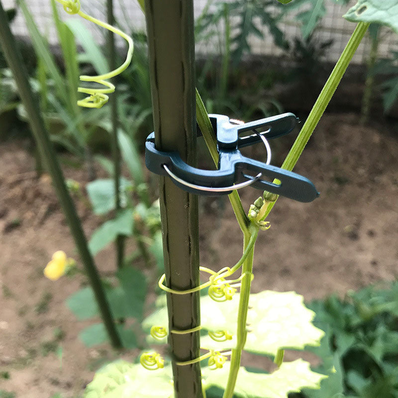 Gardening vegetable fixing clip