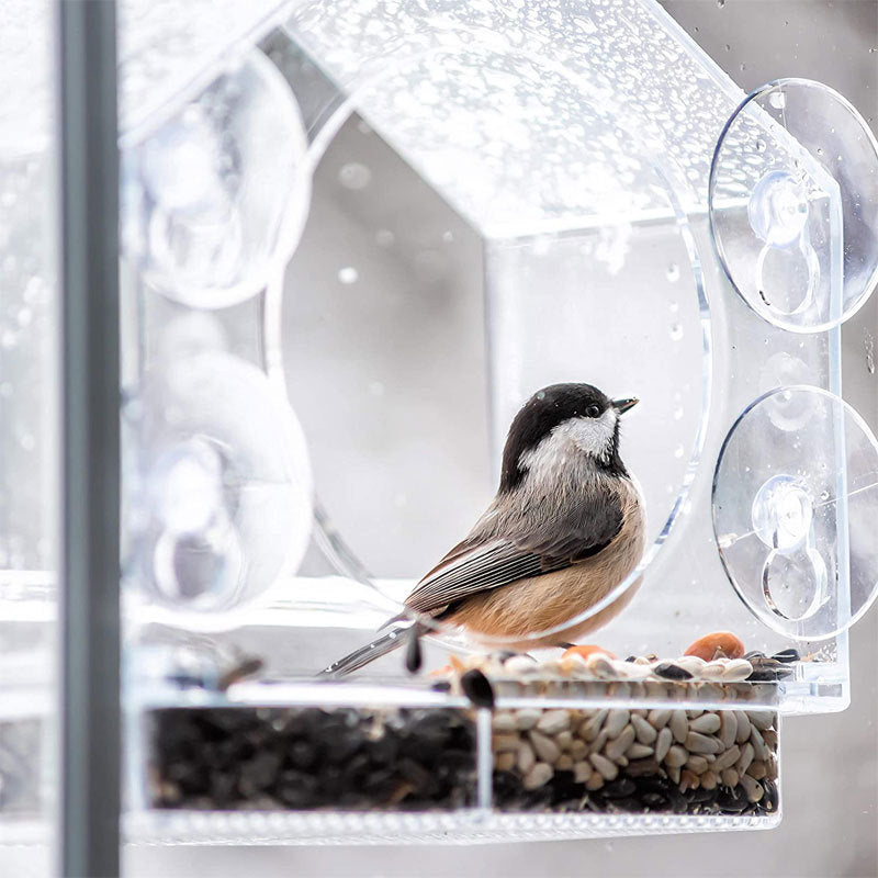 Acrylic Outdoor Garden Hummingbird Field Feeder