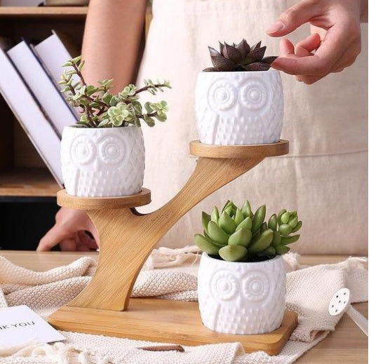Owl Wooden Tree – Ceramic Owl Planter Set with Bamboo Tree Stand