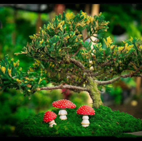 Garden Plant Luminous Mushroom Resin Ornaments