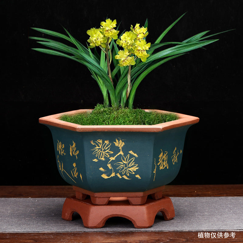 Flowerpot With Base Gardening Desktop Green Plant Succulent Landscape Basin