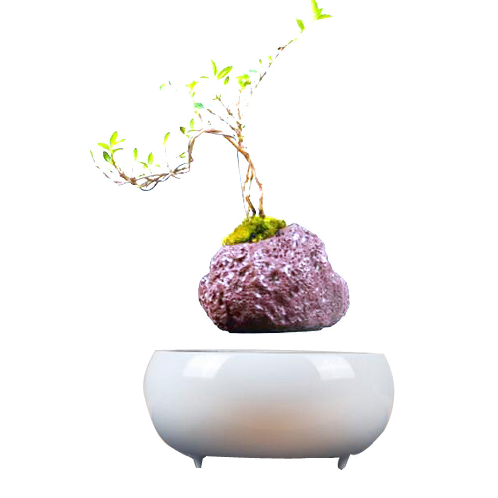 Magnetic Levitation Potted Plants