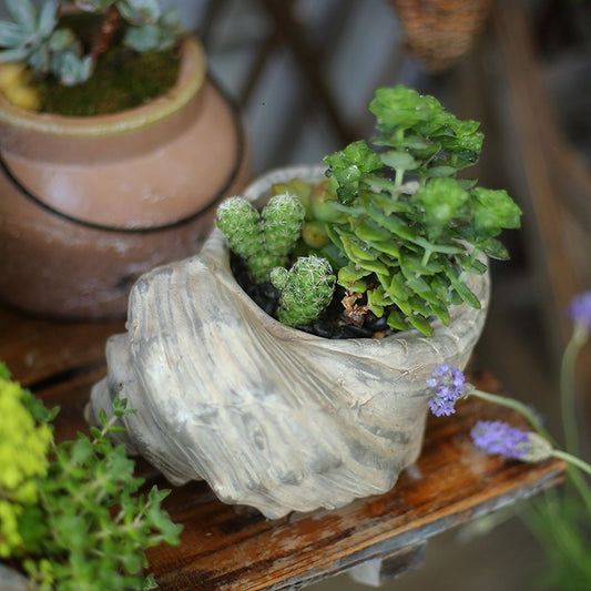 Ceramic decorative gardening of conch flower pot