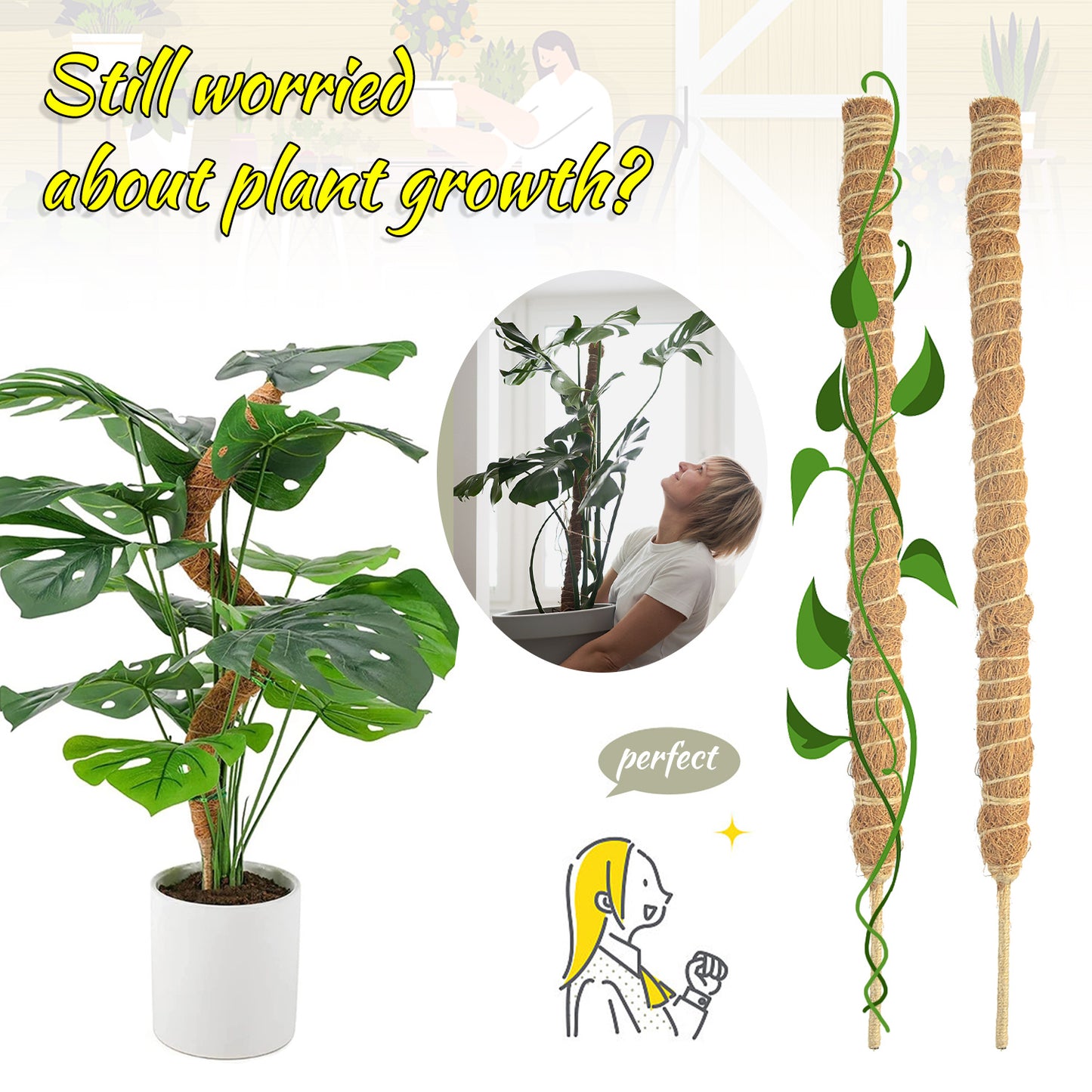 Bendable Shaped Moss Stick Green Gardening Post