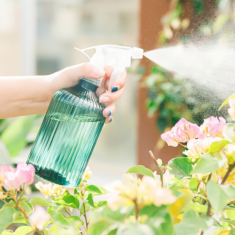 500ml Small Roman Watering Can Transparent Handheld