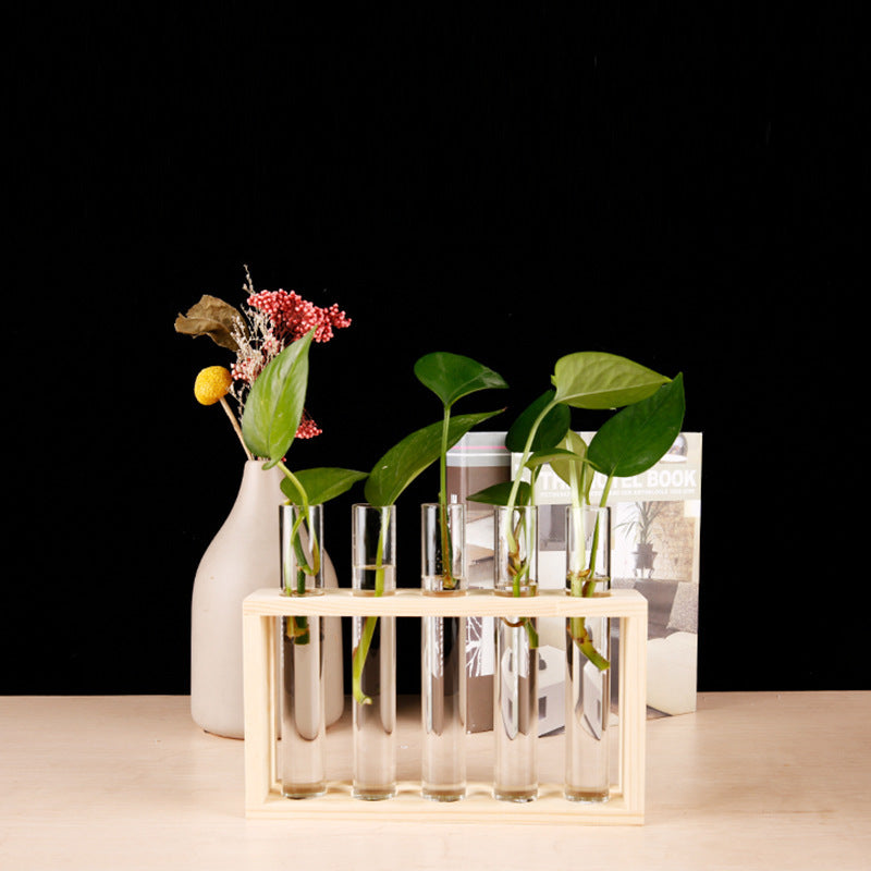 Glass Hydroponic Plants Wooden Stand Vase Test Tube