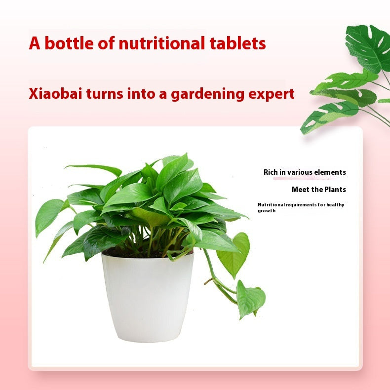 Home Gardening Nitrogen Phosphorus Potassium Sustained Release Tablets