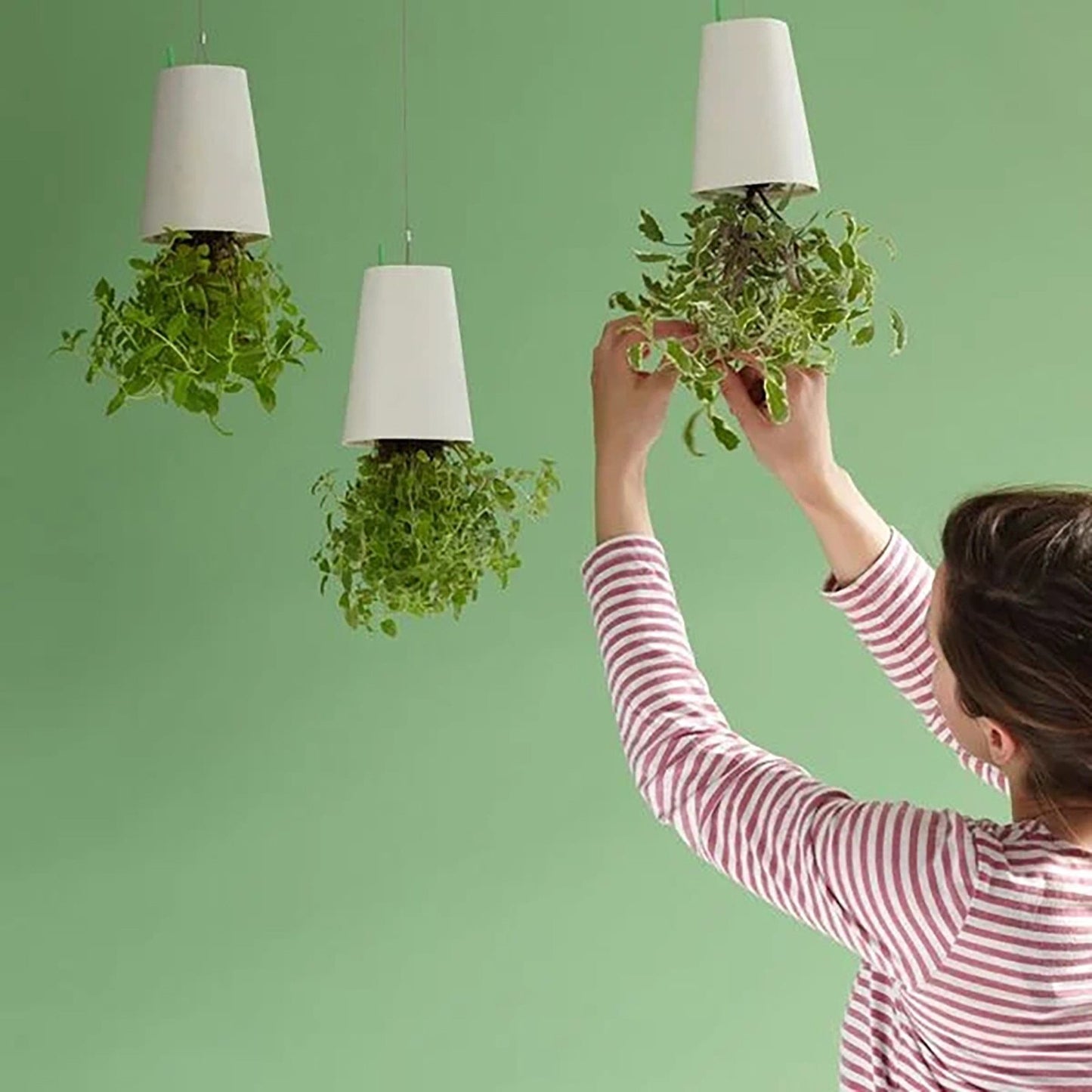 Flower Shop Upside Down Sky Gardening Landscape Flowerpot