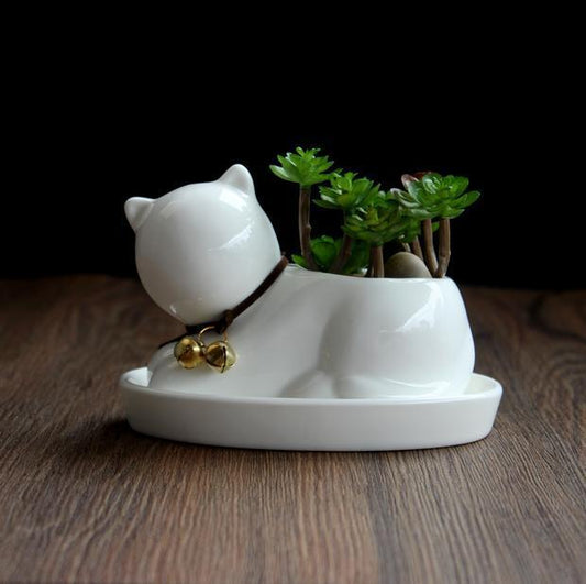 1pc Cartoon Cat Ceramic Planter for Succulents Desktop Succulents pot Decorative Mini Flower Pot Home Garden Decor