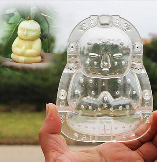 Fuwa plastic mold for agricultural fruit