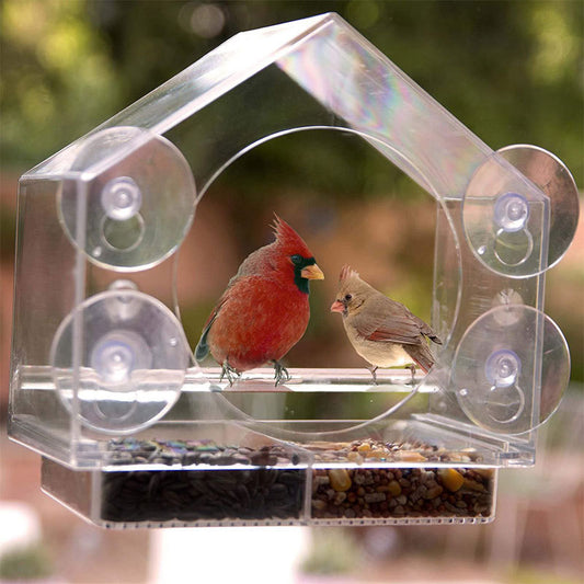 Acrylic Outdoor Garden Hummingbird Field Feeder