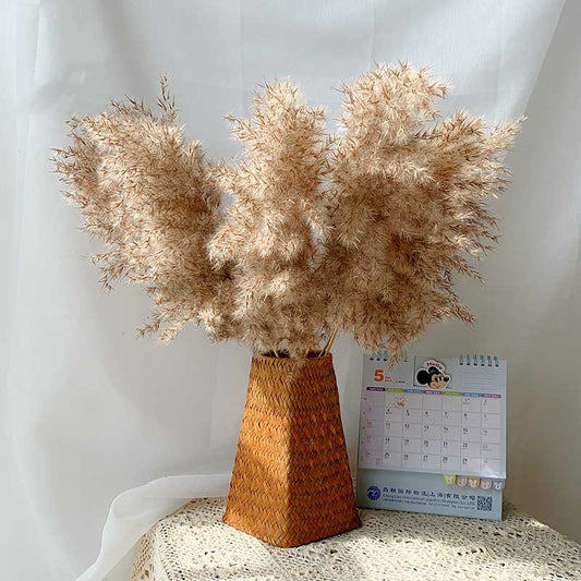 Dried Pampas Grass Decor Fluffy Tall Wedding Flowers