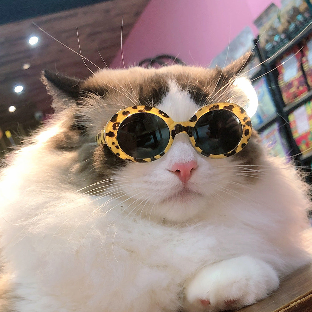 Red Pet Sunglasses Cat Model Fashion Love Eyeglass Frames