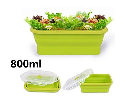 Folding lunch box