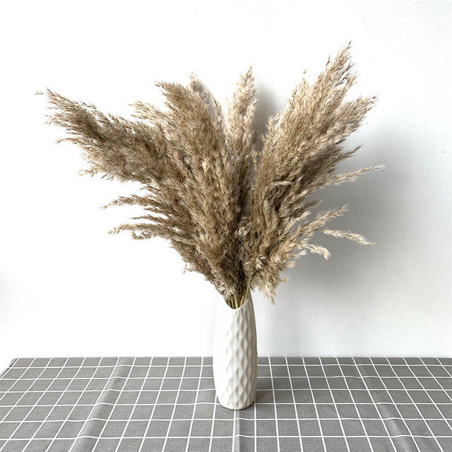 Dried Pampas Grass Decor Fluffy Tall Wedding Flowers