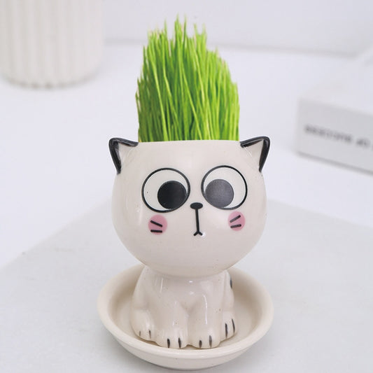 Children Planting Small Potted Plants Decoration Desktop Cute Cat Doll DIY Long Grass Plant