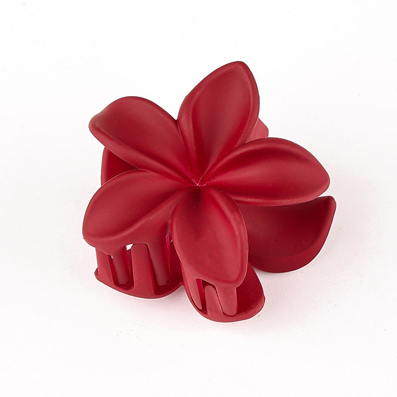 Retro Sweet Hair Claw Clip Women's Side Grip