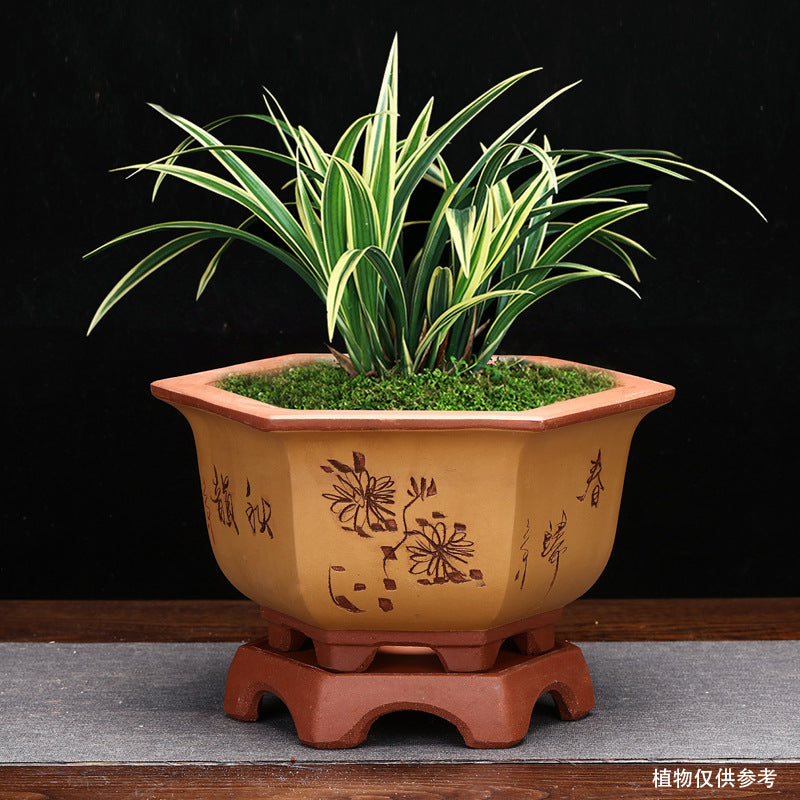 Flowerpot With Base Gardening Desktop Green Plant Succulent Landscape Basin