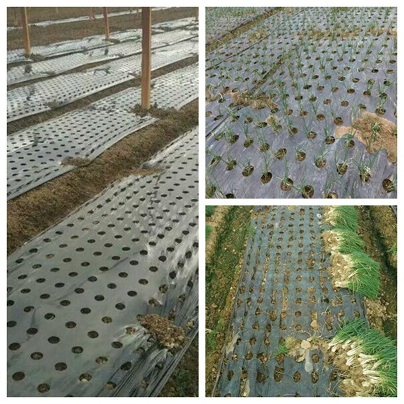 Agricultural Film Perforated Mulching Film For Agricultural Weeding