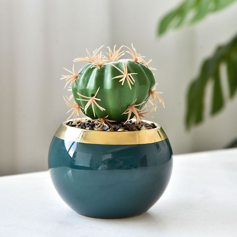 European-style Gardening Ceramic Succulent Pot Home