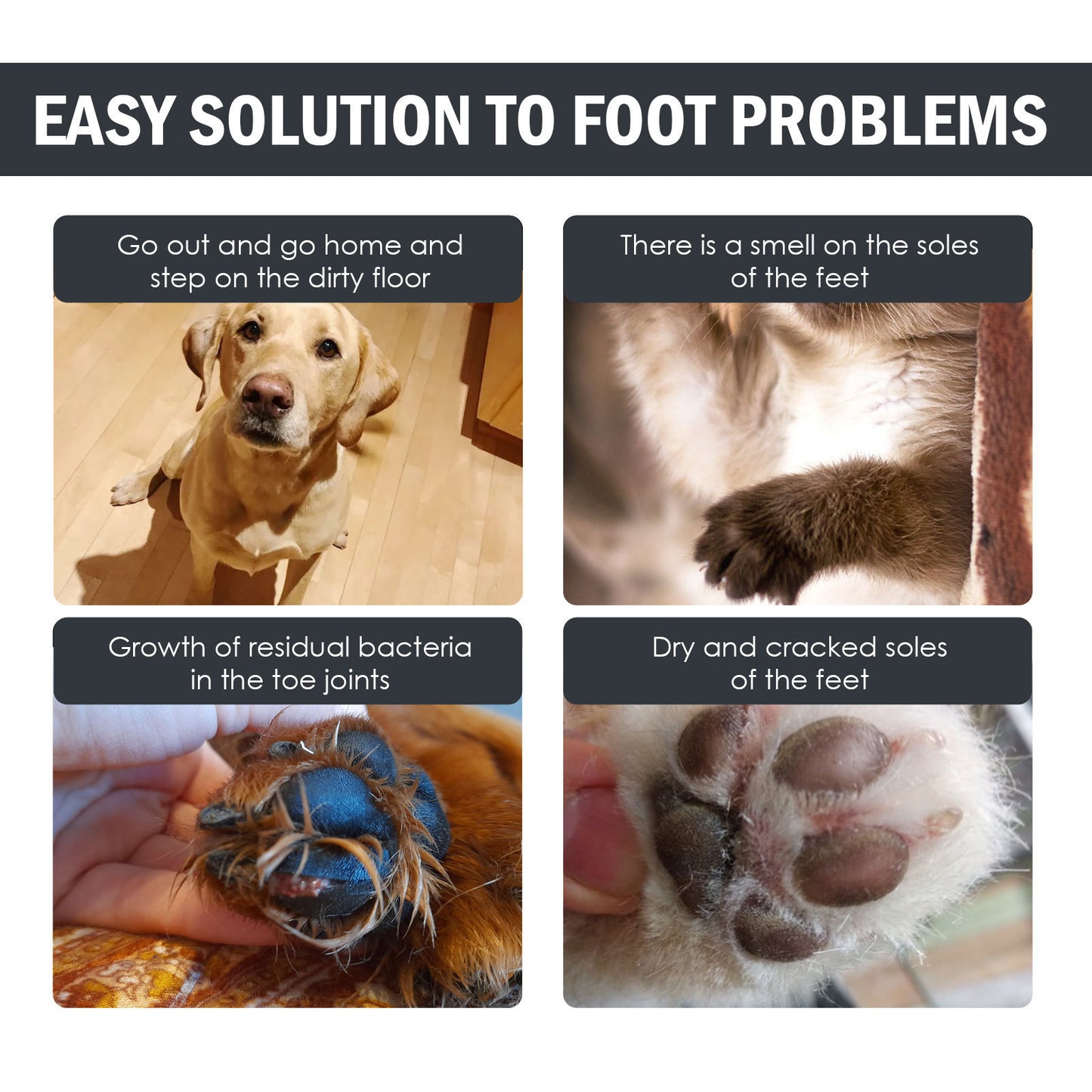 Dog Foot Mat Care Solution