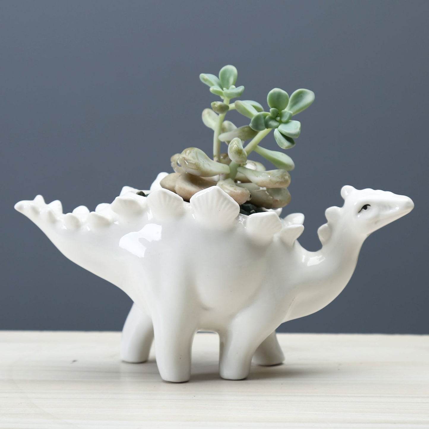 Dinosaur Succulent Flower Pot Home Gardening Indoor Ceramic Flower Pot