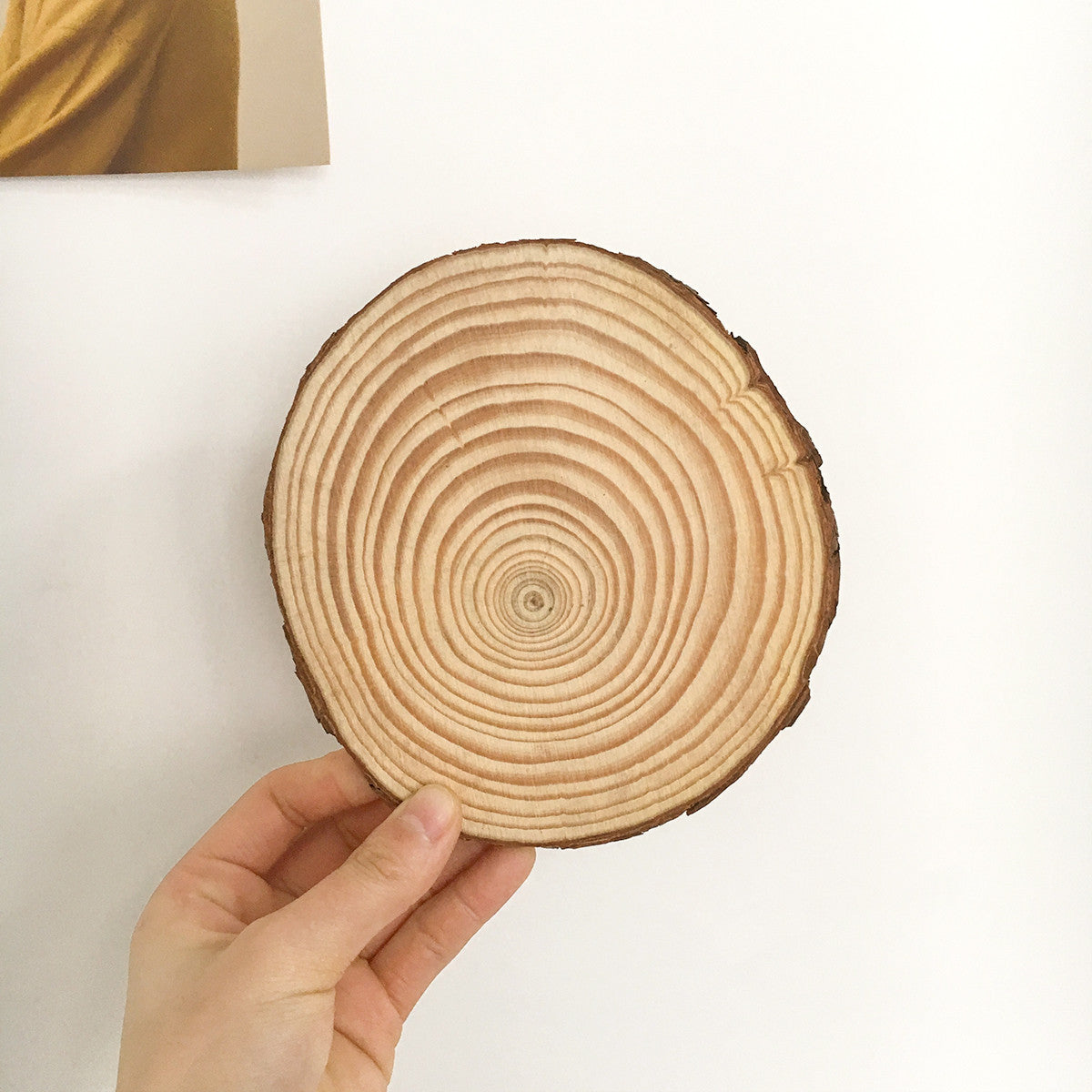 Log Annual Rings Pine Chip Cushion Wood Pile Coaster