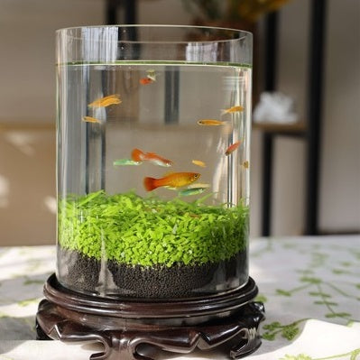 Ecological Fish Bottle Glass  Tank Micro View