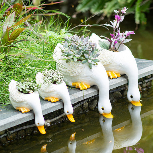 Lovely Duck Fleshy Flowerpot Living Room Balcony Decoration Outdoor Courtyard Layout